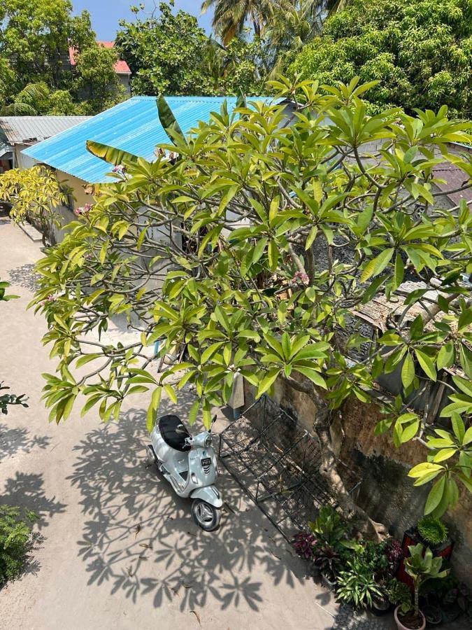 Raalhu Dhangethi Bed and Breakfast Exteriör bild
